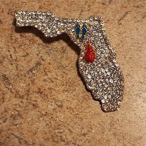 Florida Rhinestone Gemstone Collectors Fashion Pin Brooch
